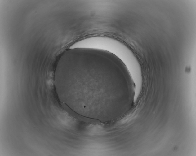 X0000090771156200708172102