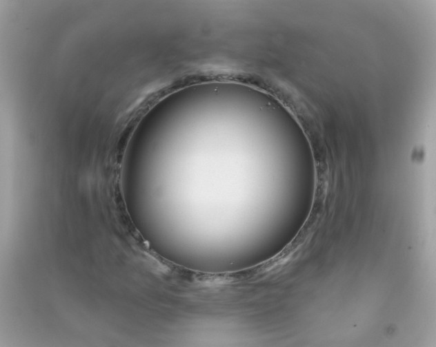 X0000090771157200708172102