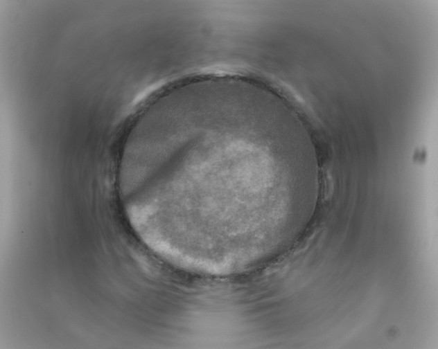 X0000090771158200708172102