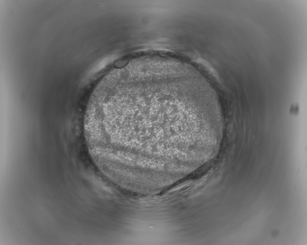 X0000090771159200708172102