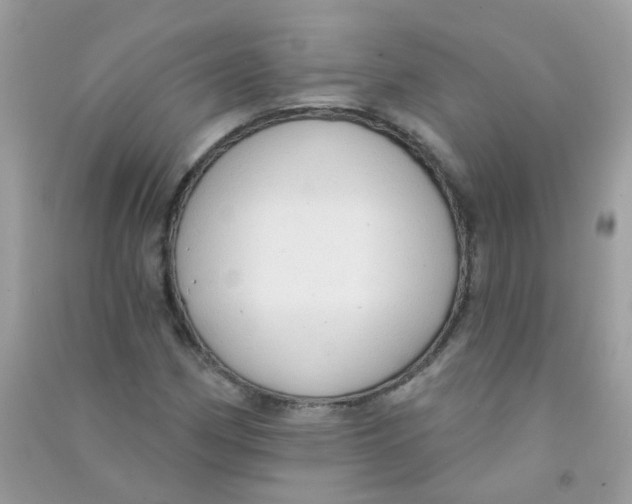 X0000090771162200708172102