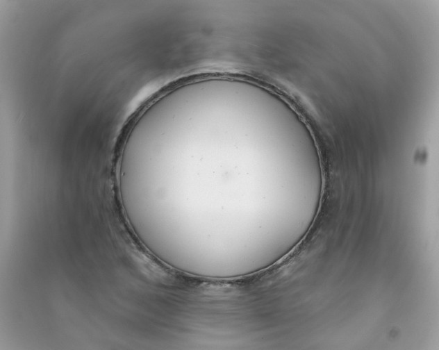 X0000090771168200708172102