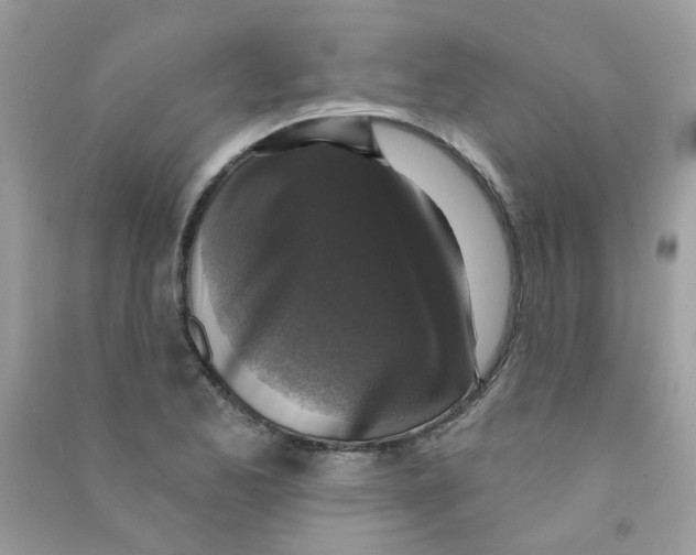 X0000090771173200708172102