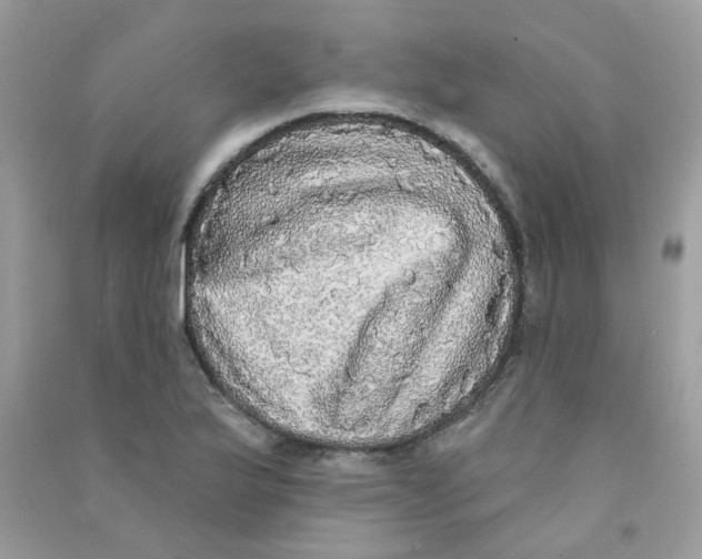 X0000090771175200708172102