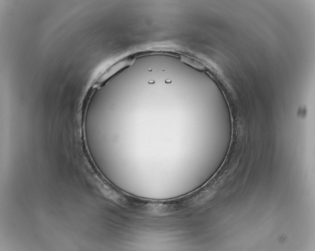 X0000090771176200708172102