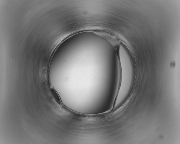 X0000090771177200708172102