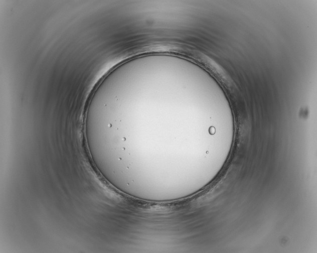 X0000090771178200708172102