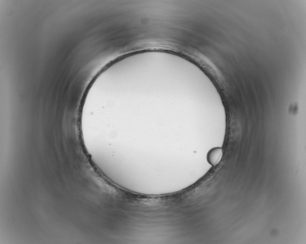 X0000090771182200708172102