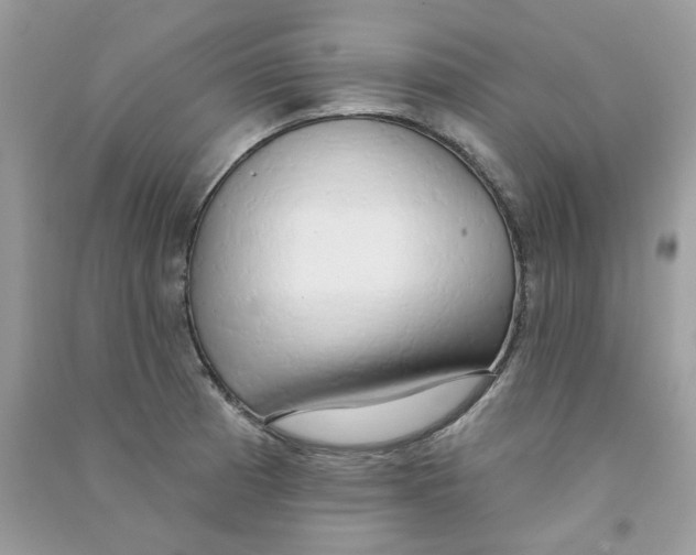 X0000090771185200708172102