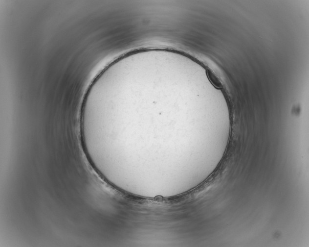 X0000090771191200708172102