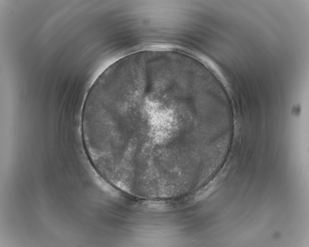 X0000090771194200708172102
