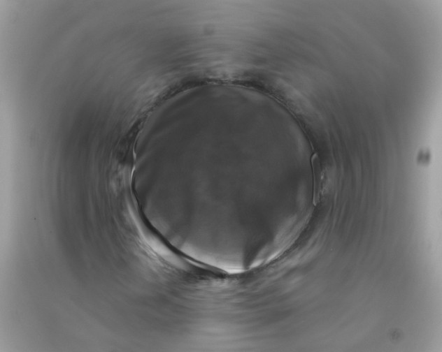 X0000090771202200708172101