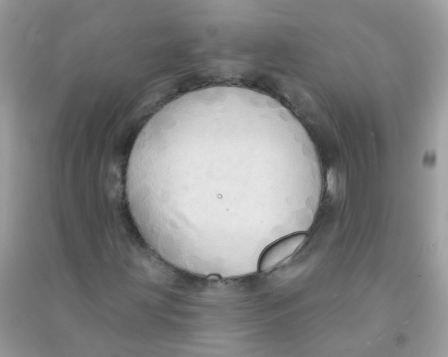 X0000090771203200708172101