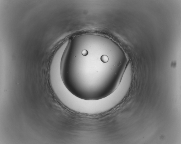 X0000090771206200708172101