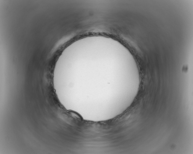 X0000090771207200708172101