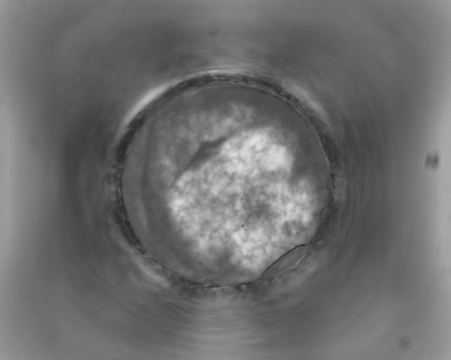 X0000090771208200708172101