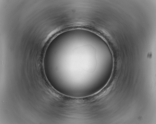X0000090771210200708172101