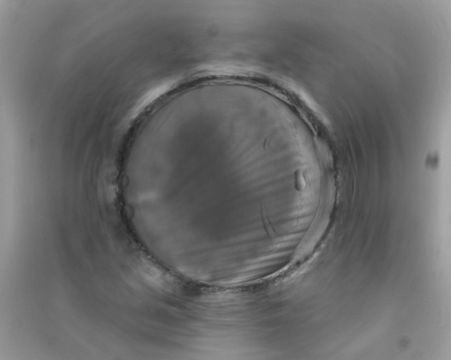 X0000090771213200708172101