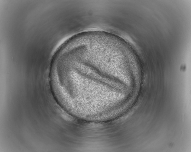 X0000090771216200708172101
