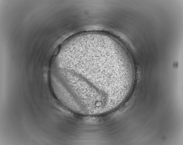 X0000090771217200708172101