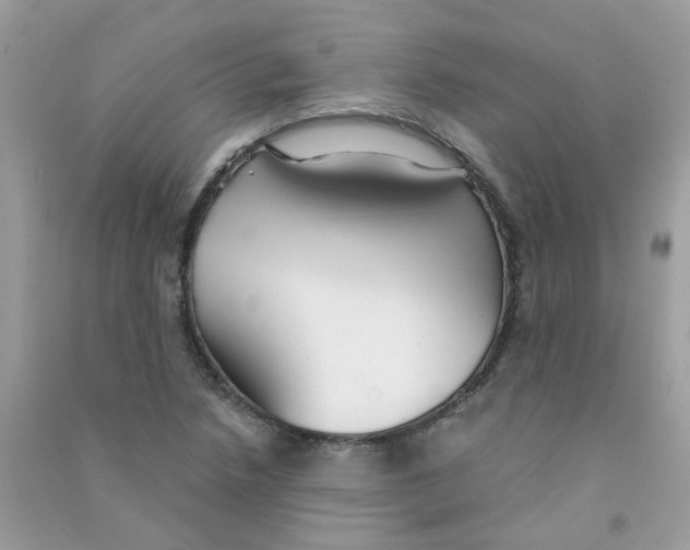 X0000090771218200708172101