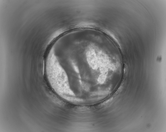 X0000090771219200708172101