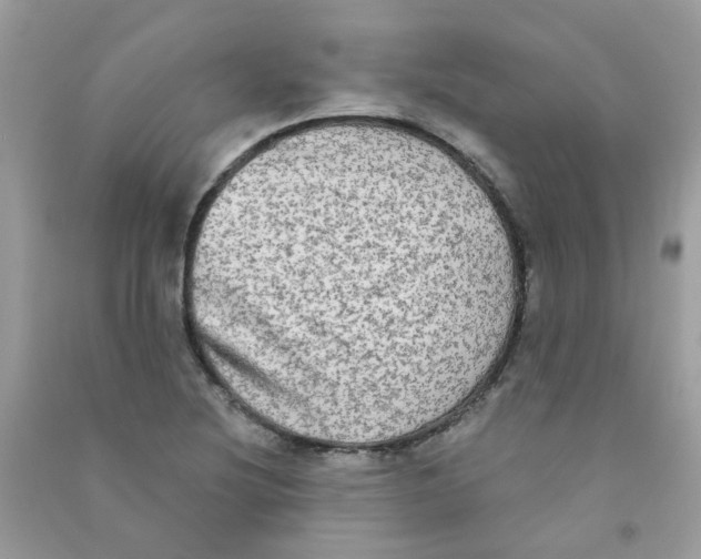 X0000090771220200708172101