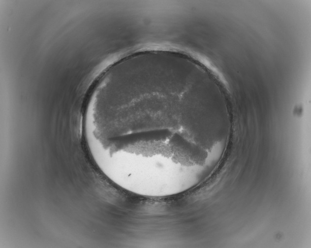 X0000090771221200708172101