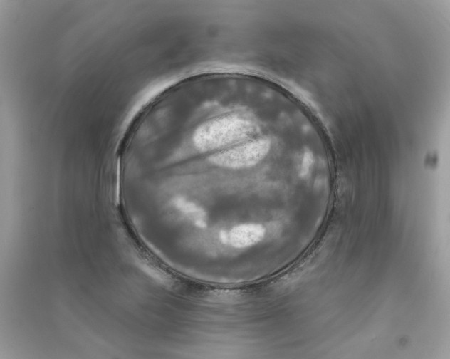 X0000090771223200708172101