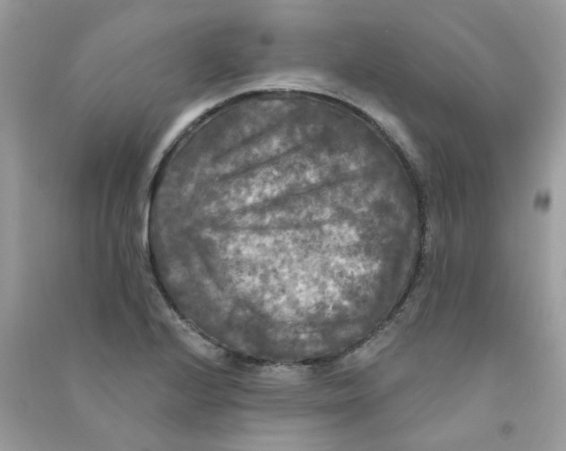 X0000090771224200708172101