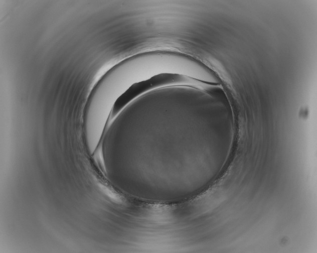 X0000090771226200708172101
