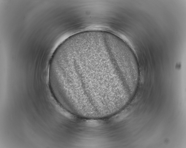X0000090771227200708172101