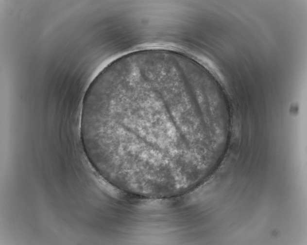 X0000090771228200708172101