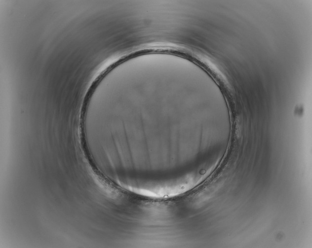 X0000090771229200708172101