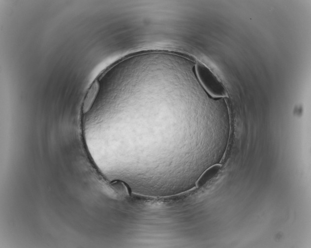 X0000090771230200708172101