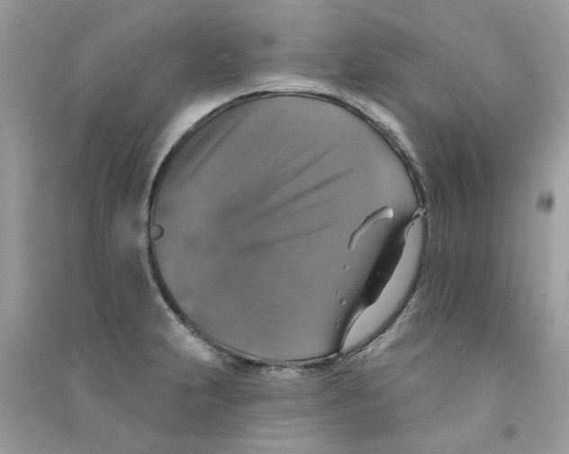 X0000090771231200708172101