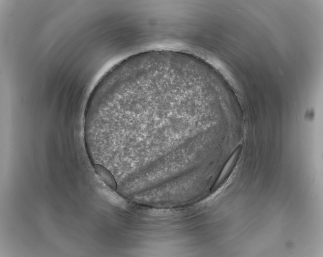 X0000090771232200708172101