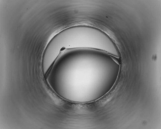 X0000090771234200708172101
