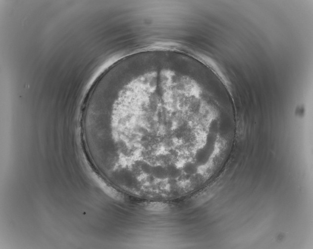 X0000090771235200708172101