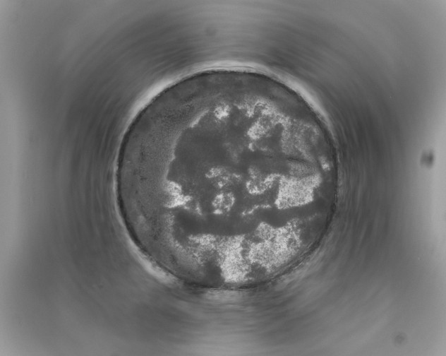 X0000090771237200708172101
