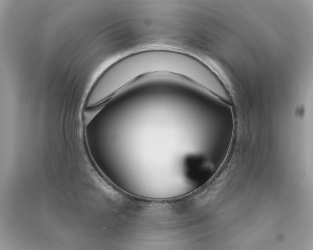 X0000090771238200708172101