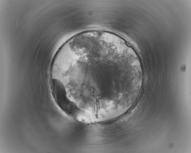 X0000090771239200708172101