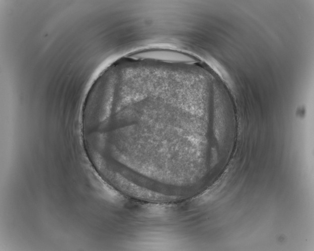 X0000090771240200708172101