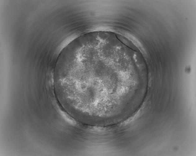 X0000090771241200708172101