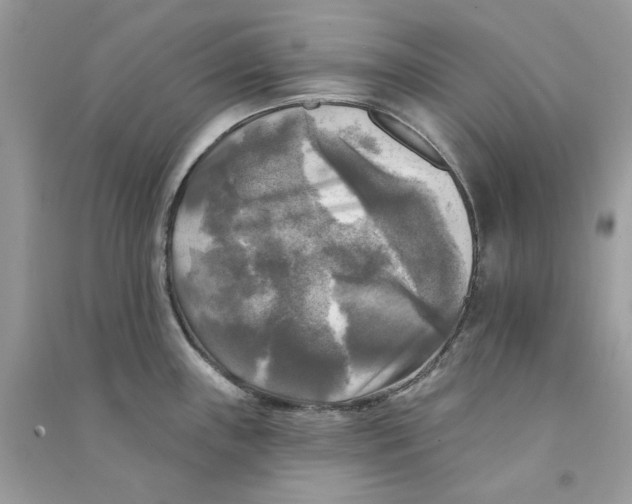 X0000090771243200708172101