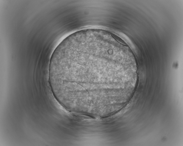 X0000090771244200708172101