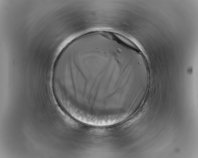 X0000090771245200708172101