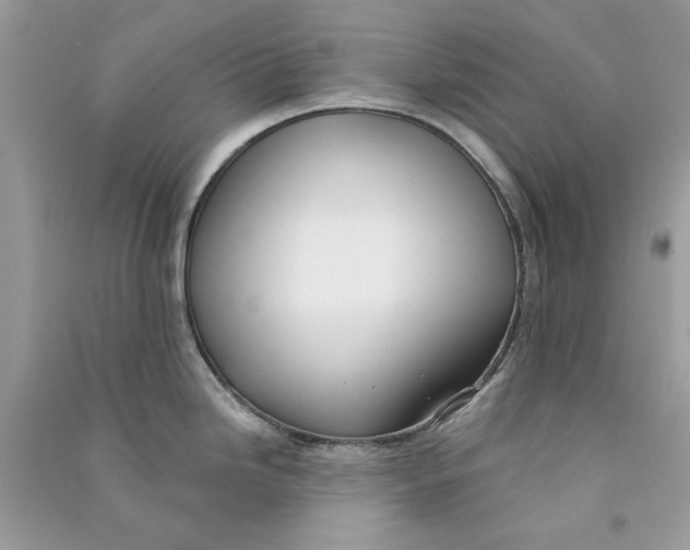 X0000090771246200708172101
