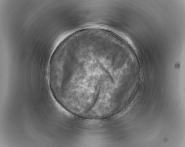 X0000090771247200708172102