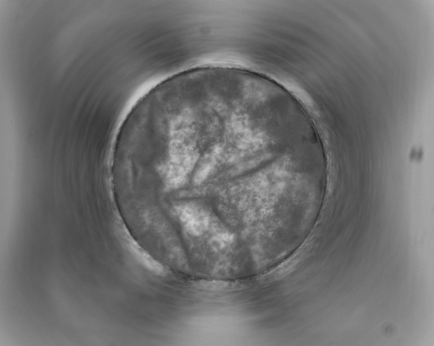X0000090771248200708172102